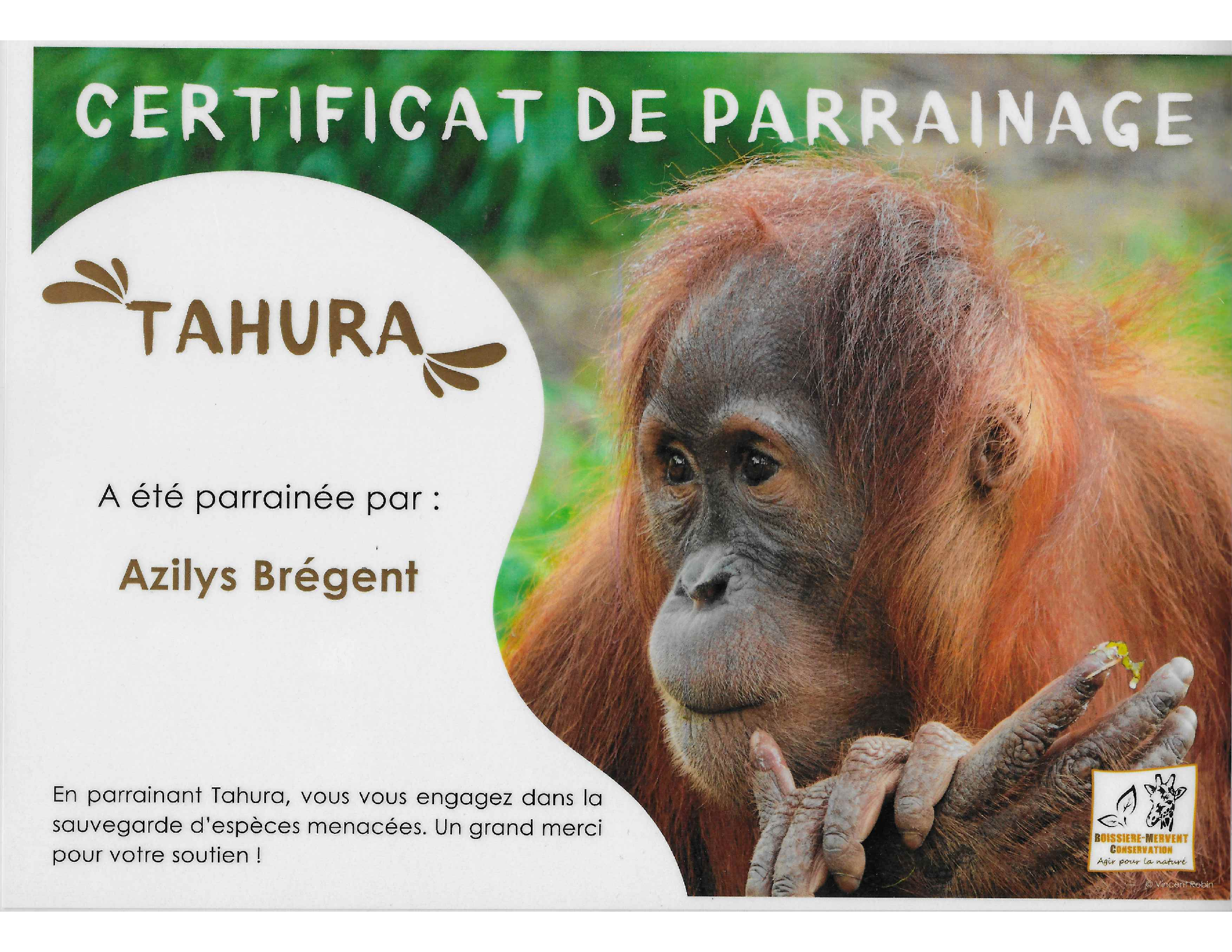 Certificat parrainage Tahura